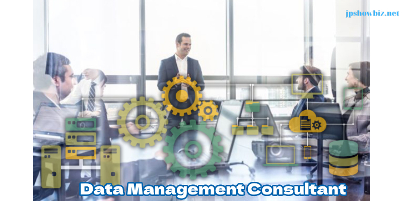 data management consultant 12