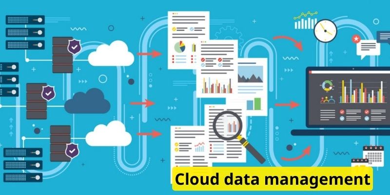 Cloud data management