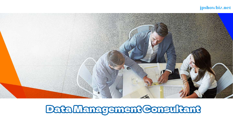 data management consultant 11