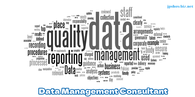 data management consultant 15